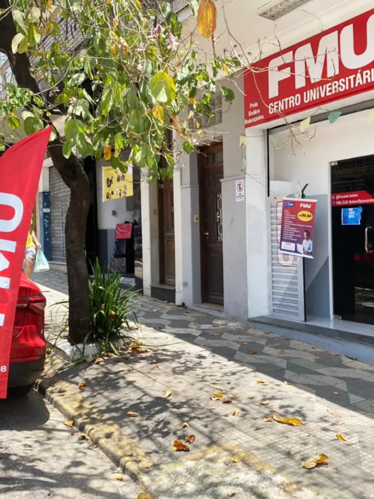 Wind Flag Banner Educacao Fmu