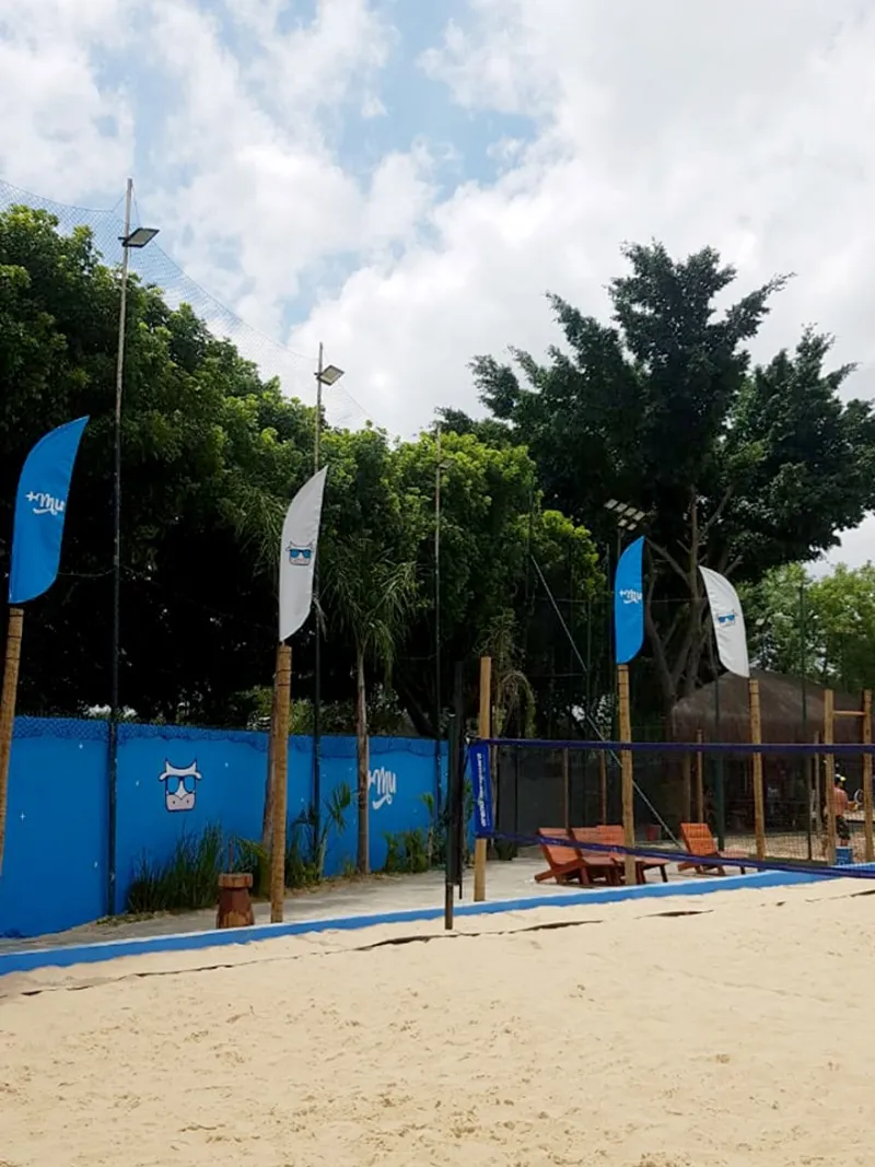 Wind Flag Banner Esportes Blu